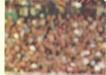 1973 Scanlens VFL #10 Leon Rice Back